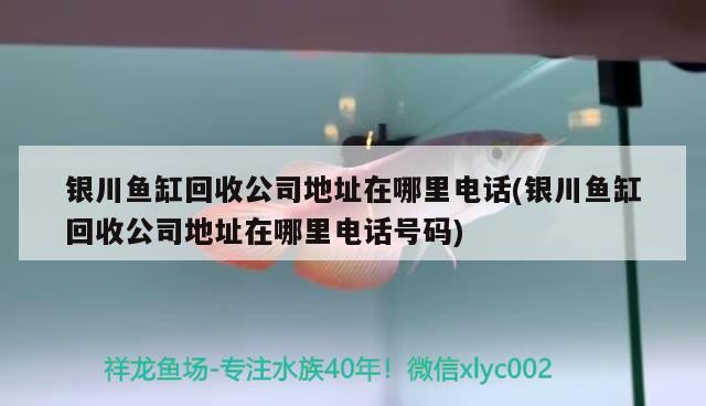 銀川魚缸回收公司地址在哪里電話(銀川魚缸回收公司地址在哪里電話號碼) 銀川魚缸回收公司地址在哪里電話(銀川魚缸回收公司地址在哪里電話號碼) 豬鼻龜百科
