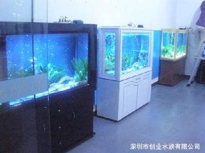 承包酒店魚缸合同:關于酒店魚缸承包合同的一些信息 魚缸百科 第1張 承包酒店魚缸合同:關于酒店魚缸承包合同的一些信息 承包酒店魚缸合同:關于酒店魚缸承包合同的一些信息 魚缸百科 第1張