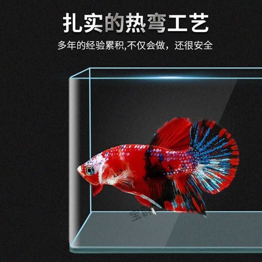 承包酒店魚缸合同:關于酒店魚缸承包合同的一些信息 魚缸百科 第2張 承包酒店魚缸合同:關于酒店魚缸承包合同的一些信息 承包酒店魚缸合同:關于酒店魚缸承包合同的一些信息 魚缸百科 第2張