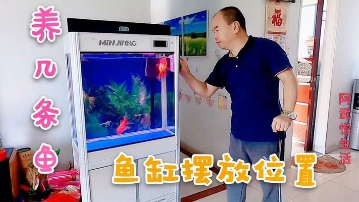 撫順哪里賣魚缸好賣的(撫順個人二手魚缸低價出售)