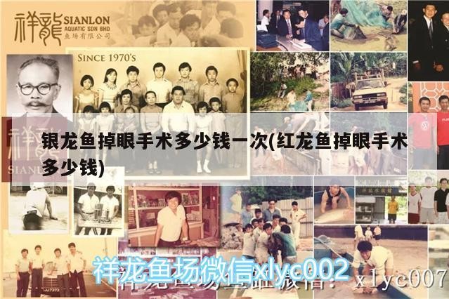 銀龍魚掉眼手術多少錢一次(紅龍魚掉眼手術多少錢) 銀龍魚掉眼手術多少錢一次(紅龍魚掉眼手術多少錢) 銀龍魚百科