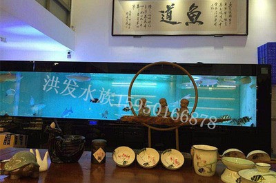 龍魚虎魚混養尺寸多大好（龍魚虎魚混養尺寸多大好呢）