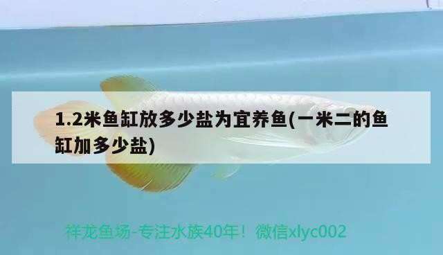 1.2米魚缸放多少鹽為宜養魚(一米二的魚缸加多少鹽) 1.2米魚缸放多少鹽為宜養魚(一米二的魚缸加多少鹽) 豬鼻龜百科