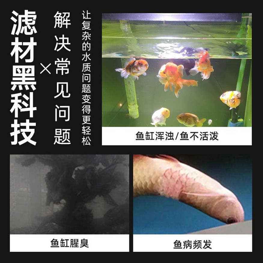 春季魚缸魚病防治：春季魚病如何防治