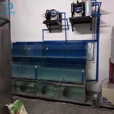 大型魚缸水循環系統設計方案:基于單片機控制的大型魚缸水循環系統應運而生 魚缸百科 第4張 大型魚缸水循環系統設計方案:基于單片機控制的大型魚缸水循環系統應運而生 大型魚缸水循環系統設計方案:基于單片機控制的大型魚缸水循環系統應運而生 魚缸百科 第4張