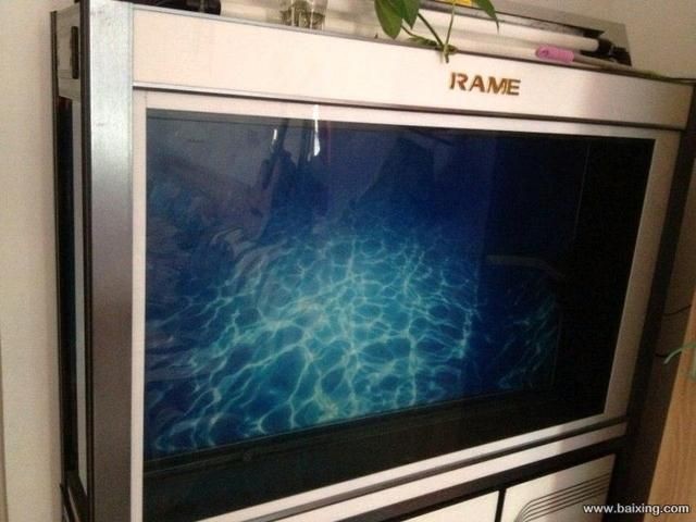 rame魚缸價格 rame魚缸價格 魚缸百科 第1張