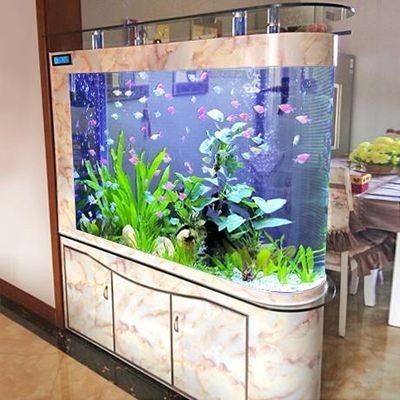 大魚缸的水可以給小魚缸用嗎：大魚缸的水可以給小魚缸使用嗎？ 大魚缸的水可以給小魚缸用嗎：大魚缸的水可以給小魚缸使用嗎？ 魚缸百科 第1張