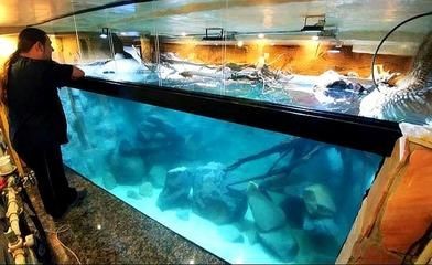 大魚缸的水可以給小魚缸用嗎：大魚缸的水可以給小魚缸使用嗎？ 大魚缸的水可以給小魚缸用嗎：大魚缸的水可以給小魚缸使用嗎？ 魚缸百科 第3張