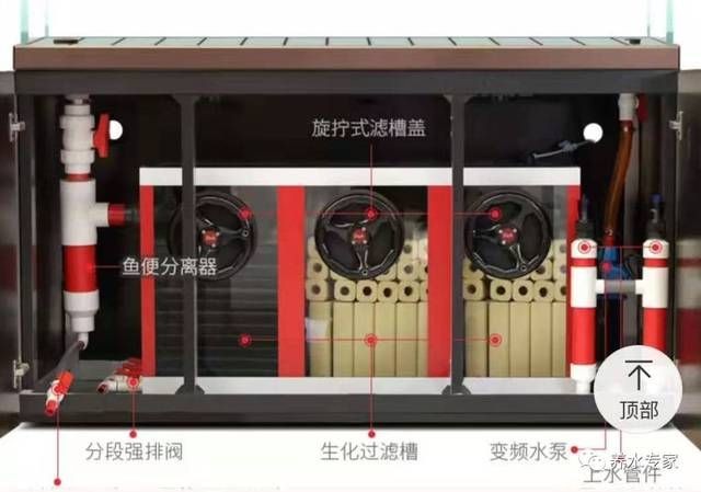 玻璃制作魚缸底濾過濾槽：如何制作魚缸底濾過濾槽