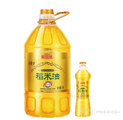 世界上最貴的紅龍魚視頻在線觀看（世界上最貴的紅龍魚視頻在線觀看免費）