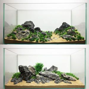 慈鯛魚缸造景石頭擺放位置：對于慈鯛魚缸造景石頭的擺放位置，以下幾個建議是非常重要的