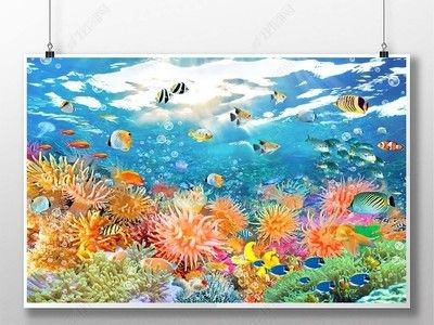 紅龍的主要競爭對手有哪些，《魔獸世界》紅龍與金龍魚有何區別，如何區分紅龍魚的雌雄