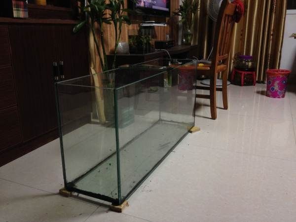 大型魚缸專用膠水：大型魚缸專用膠水的選擇 大型魚缸專用膠水：大型魚缸專用膠水的選擇 魚缸百科 第4張