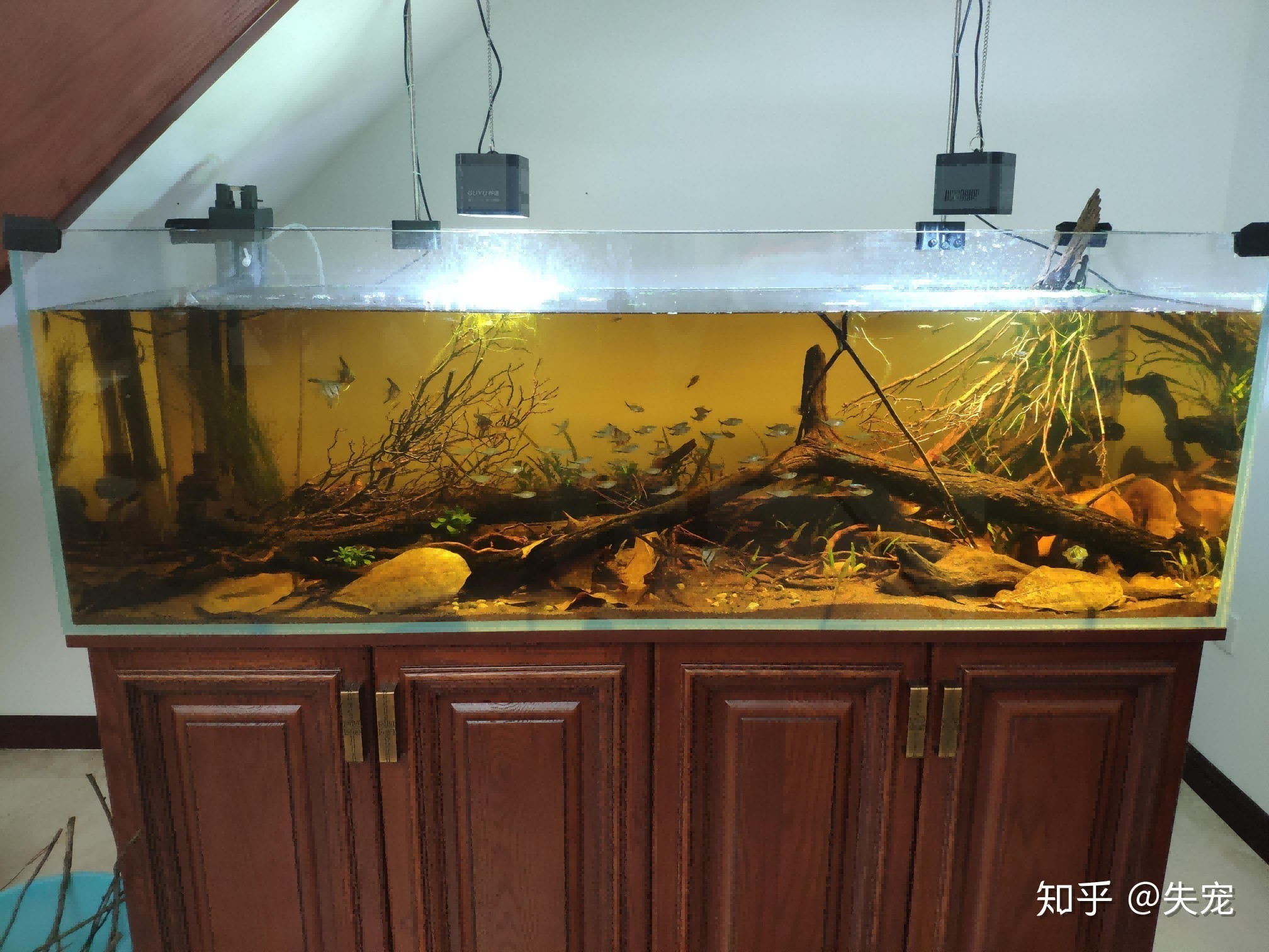 大型魚缸品牌質量最好的都有什么品牌：大型魚缸品牌哪個牌子好