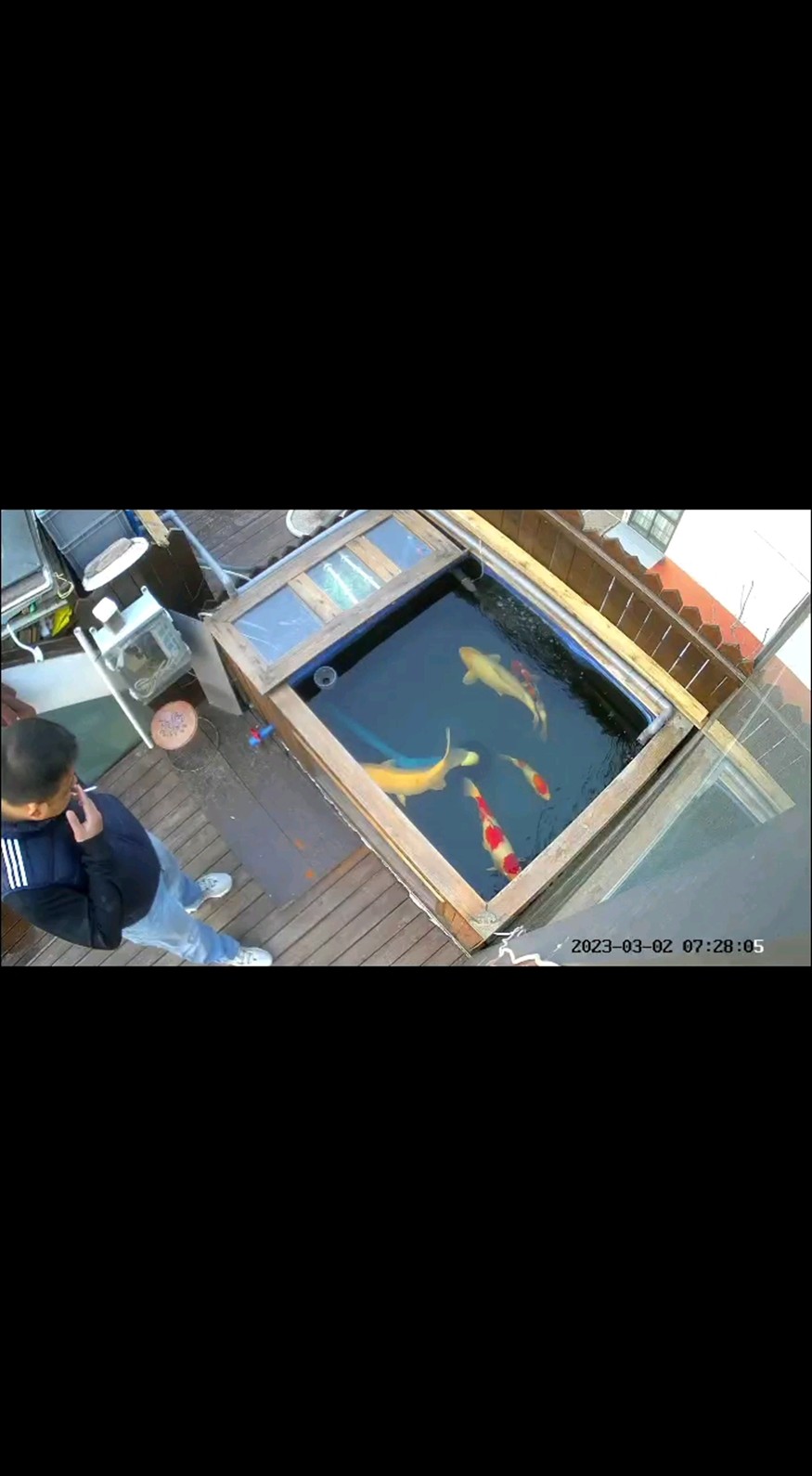 我們是不是也像這池中的魚