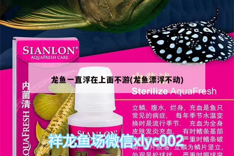 龍魚一直浮在上面不游(龍魚漂浮不動)