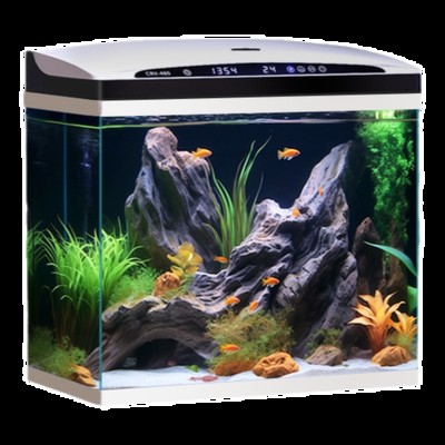 海勃灣區(qū)蔡桂蘭水族生活館（海勃灣區(qū)蔡桂蘭水族生活館地址）