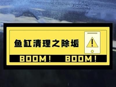 大魚缸怎么清理底部水垢：如何清洗大魚缸水垢？ 大魚缸怎么清理底部水垢：如何清洗大魚缸水垢？ 魚缸百科 第2張
