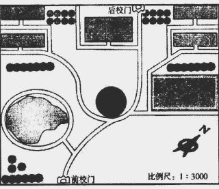 大蘇打放魚缸的比例是多少：大蘇打在魚缸中的作用