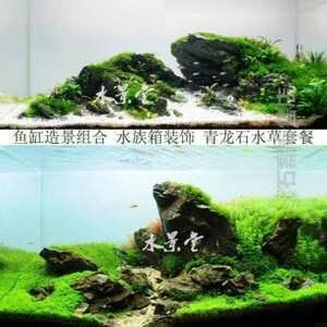 大魚缸造景視頻全過程播放軟件:關(guān)于大魚缸造景視頻全過程播放軟件的推薦及視頻內(nèi)容 魚缸百科 第3張 大魚缸造景視頻全過程播放軟件:關(guān)于大魚缸造景視頻全過程播放軟件的推薦及視頻內(nèi)容 大魚缸造景視頻全過程播放軟件:關(guān)于大魚缸造景視頻全過程播放軟件的推薦及視頻內(nèi)容 魚缸百科 第3張