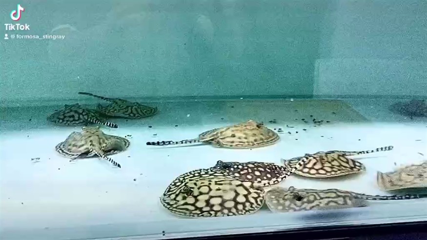 簽到、分享