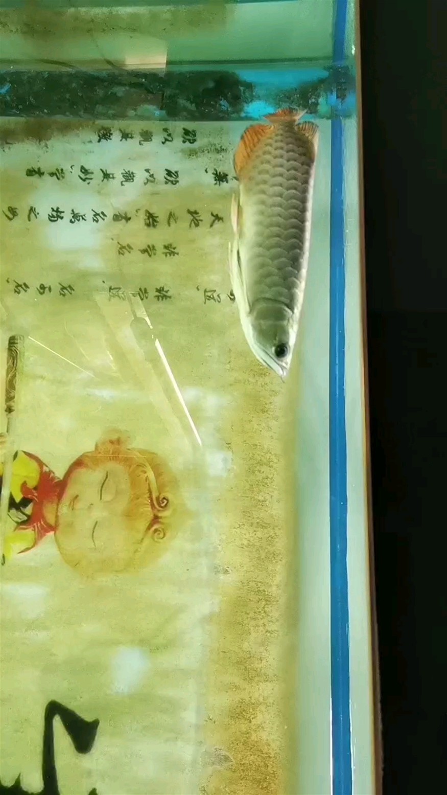 喂多了