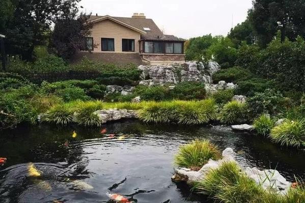 婁底市經濟開發區南海觀賞魚水族館（婁底市經濟開發區南海觀賞魚水族館電話）