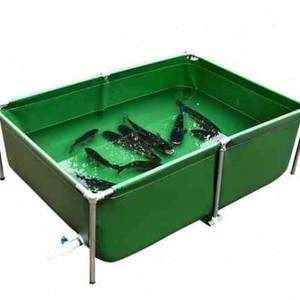 紅龍魚恒溫設備品牌對比：紅龍魚恒溫設備的優缺點