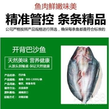 慈鯛魚能養多大的魚缸：慈鯛魚缸尺寸應該根據魚的種類、混養情況以及水溫的調節需求