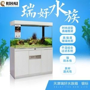 龍魚多少溫度合適養魚缸 龍魚多少溫度合適養魚缸 龍魚百科 第1張