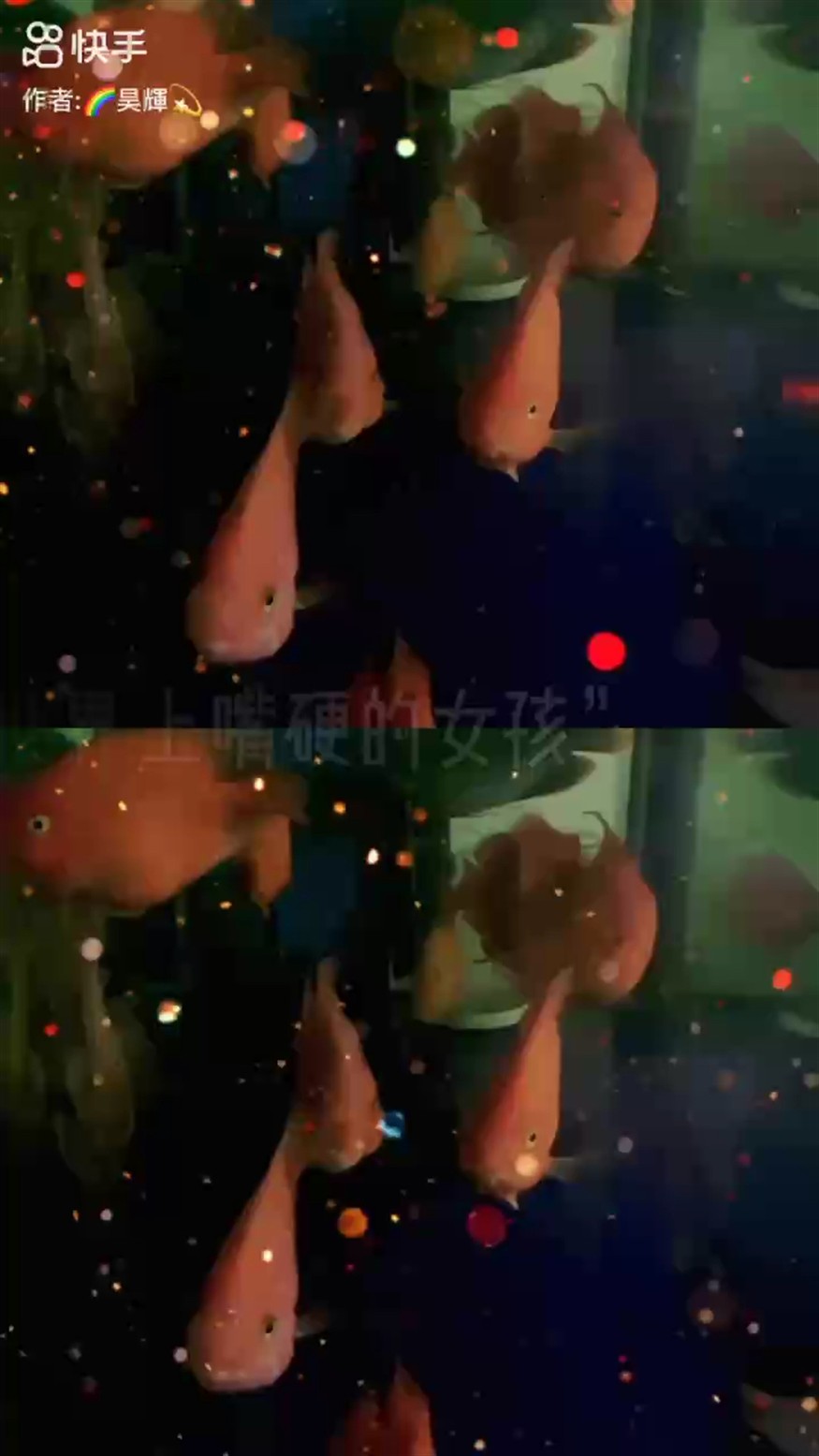 165天，?堅持打卡記錄