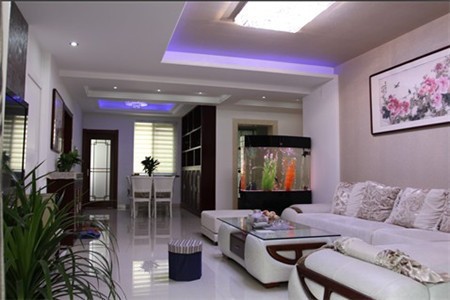 龍魚可以和豬鼻龜混養嗎圖片(金龍魚可以和豬鼻龜混養嗎) 龍魚可以和豬鼻龜混養嗎圖片(金龍魚可以和豬鼻龜混養嗎) 豬鼻龜百科