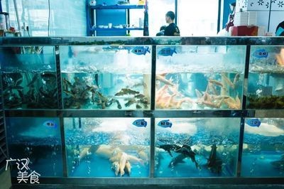 大魚缸清理：如何清理大魚缸