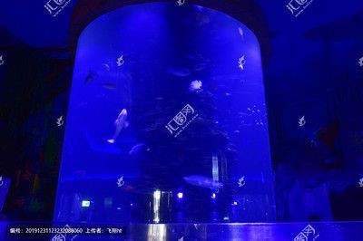 玻璃柱魚缸效果圖：玻璃柱魚缸效果圖大全