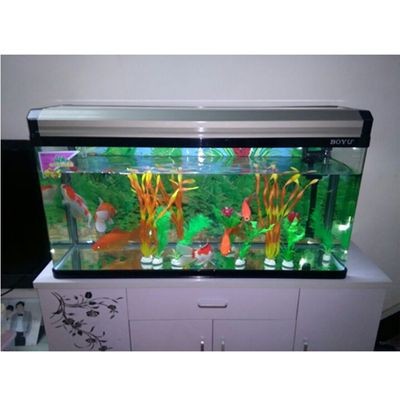 小白龍魚多久換一次水，小白龍魚多久換一次水，小白龍魚換水時需要注意什么
