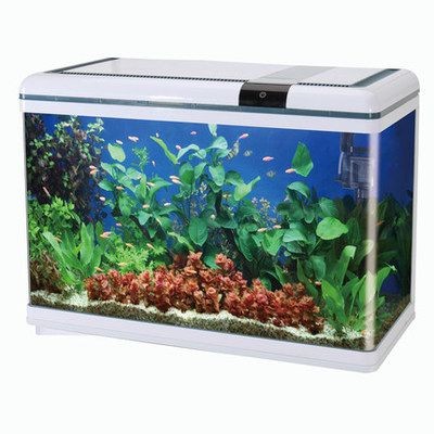 博宇魚缸廠家在哪里：博宇魚缸廠家位于杭州市蕭山區文明路624-626號