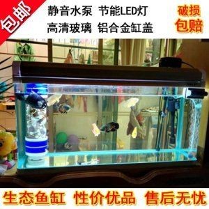 滁州龍魚的價格范圍是多少？，滁州龍魚多少錢一公斤