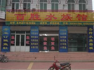 百勝魚缸廠家在哪里啊：百勝魚缸生產廠家