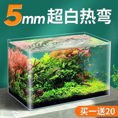 北方魚缸水草繁殖基地在哪里：北方魚缸水草繁殖基地 北方魚缸水草繁殖基地在哪里：北方魚缸水草繁殖基地 魚缸百科 第4張