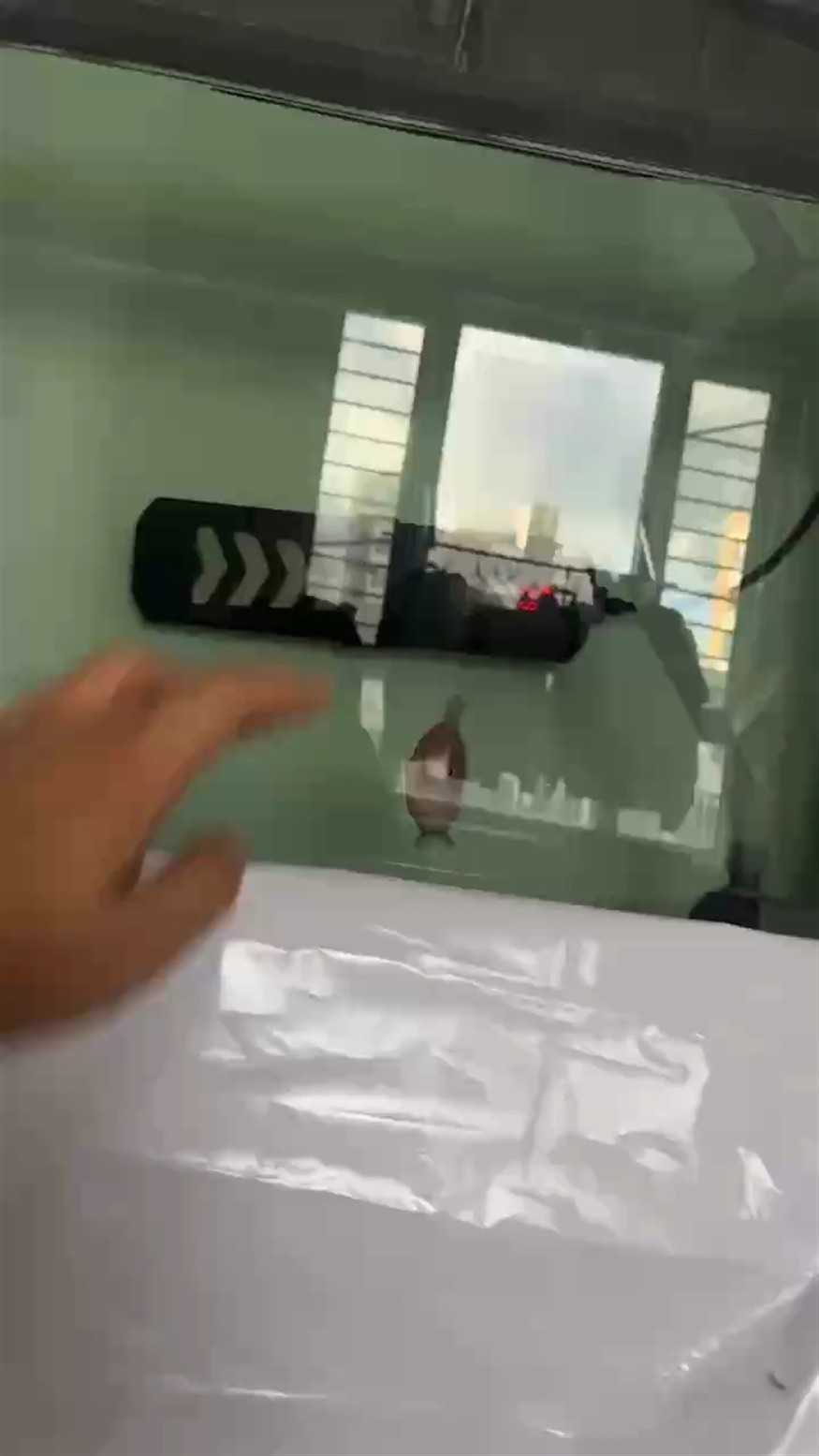 暴脾氣