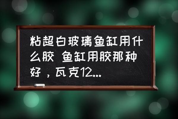 河源市源城區莎莎水族館（河源市源城區莎莎水族館電話）