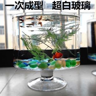 玻璃圓柱魚缸好不好：玻璃圓柱魚缸是一種常見的養魚容器其優點和缺點和缺點