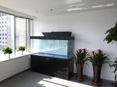 帶水的魚缸怎么搬動：冬瓜皮搬運帶水魚缸