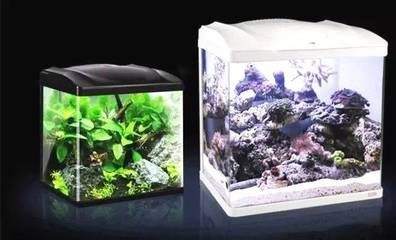 大魚缸滲水怎么補漏水：魚缸滲水怎么辦？