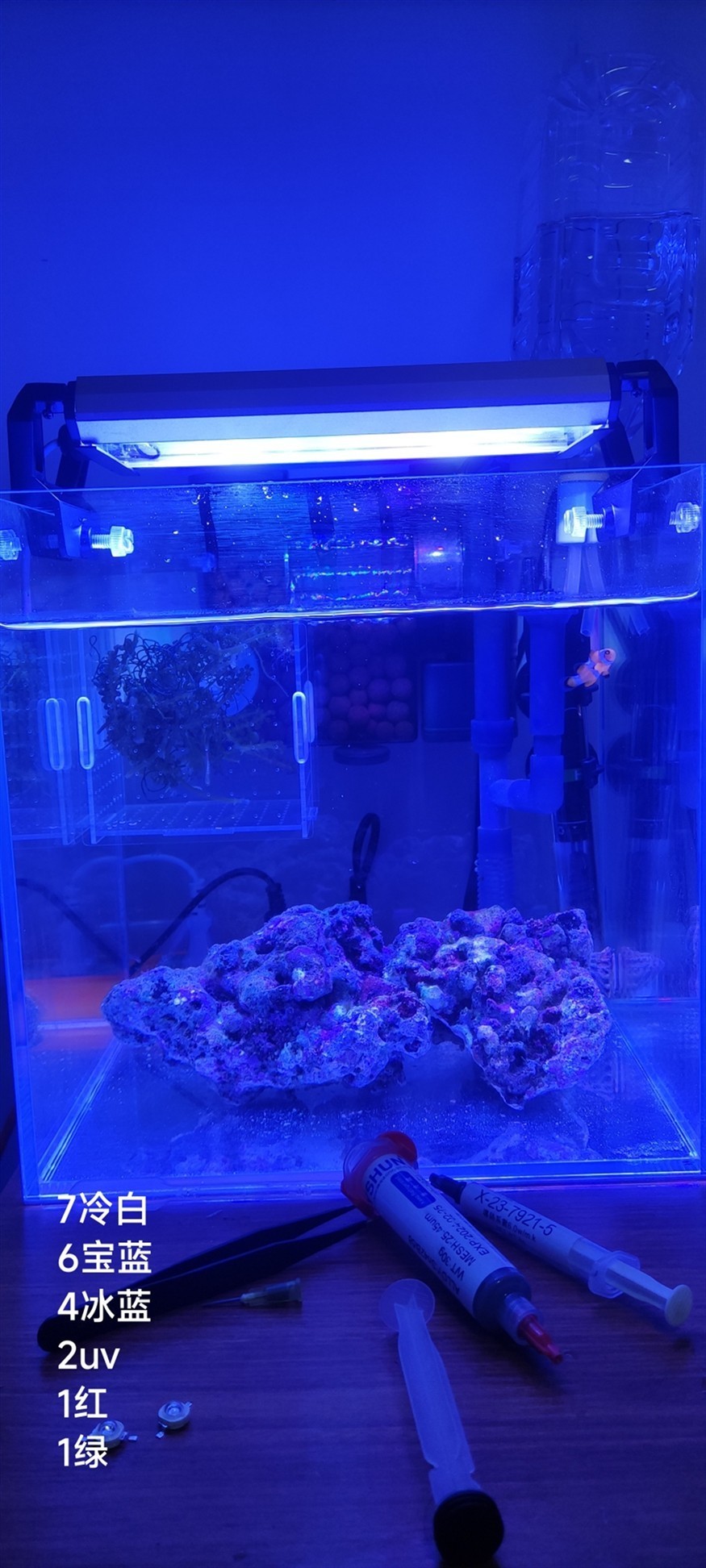 純小白窮玩