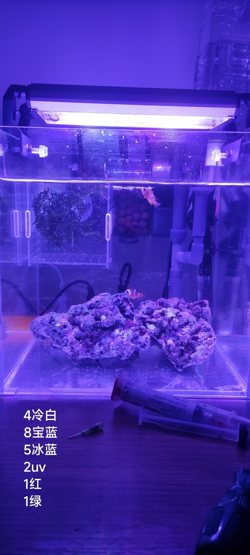 純小白窮玩