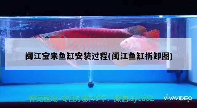 閩江寶來魚缸安裝過程(閩江魚缸拆卸圖) 閩江寶來魚缸安裝過程(閩江魚缸拆卸圖) 紅龍魚百科