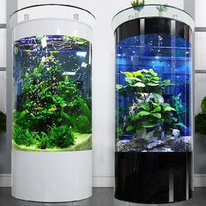 扁圓形魚缸的優缺點：圓形魚缸的優缺點 扁圓形魚缸的優缺點：圓形魚缸的優缺點 魚缸百科 第4張