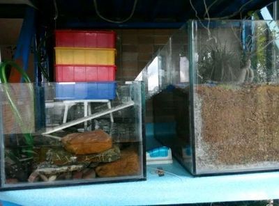 成品魚缸改造怎么切割上面塑料片：成品魚缸切割上方的塑料片是一個重要的步驟以下步驟