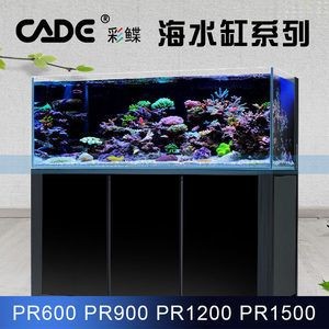 背濾魚缸設計方案：背過濾魚缸的設計原理